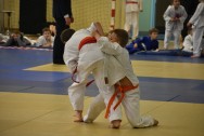 Zawody judoków