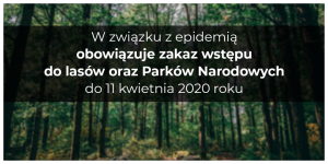 Zakaz wstępu do lasów – koronawirus