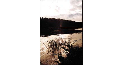 Witamy w gminie Stawiguda