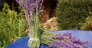 Powstanie lawendowe muzeum na Warmii