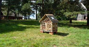 Bezpieczne owady w skansenie w Olsztynku