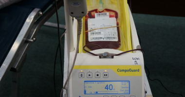 Podzielili się... sobą