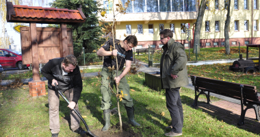Więcej drzew w powiecie