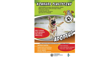 Zwierzę szuka przyjaciela!