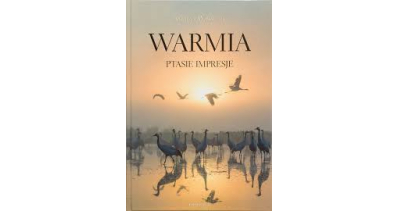 Koncert na Ptasi Raj i fortepian