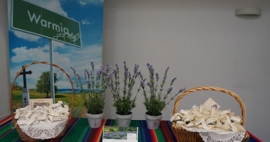 Kr&oacute;lewna Łyna dla Caritas 