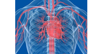 Profilaktyka chorób układu krążenia