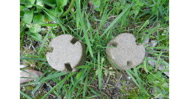 Szczepienia lis&oacute;w 