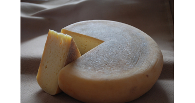 Produkty i usługi z Dobrego Miasta wyróżnione