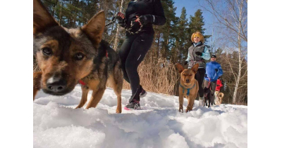 Wigilijny Bieg na 6 Łap