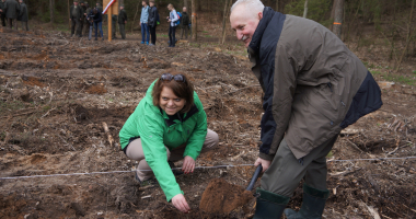 Pracowite Święto Lasu