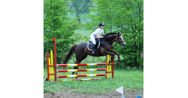 IV Piknik Jeździecki w Smolajnach