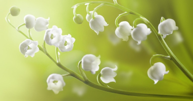 Z okazji Dnia Samorządu Terytorialnego