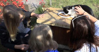 W Biskupcu myślą o zwierzętach