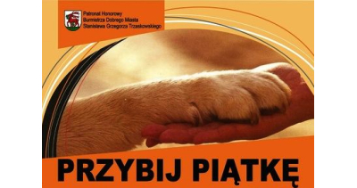 Przybij piątkę
