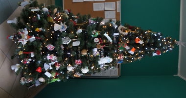 Nietypowa choinka w starostwie