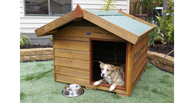 Co za cuda, ciepła buda