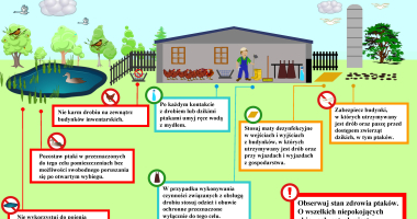 Apel do hodowc&oacute;w drobiu