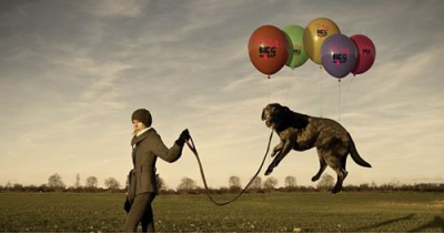 Urodzinowy bieg na 6 łap