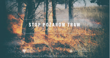 Stop pożarom traw &ndash; Ziemia jest tylko jedna