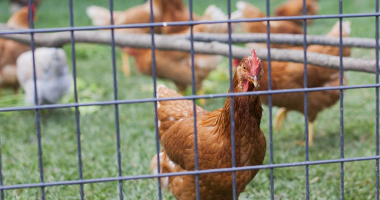 Dr&oacute;b dalej w zamknięciu