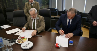 Dotacja na plany urządzenia las&oacute;w