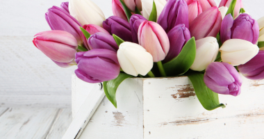 Dzień Drogowca i Transportowca