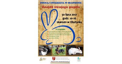 Znajdź swojego pupila