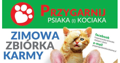 Trwa zbi&oacute;rka dla bezdomnych zwierząt
