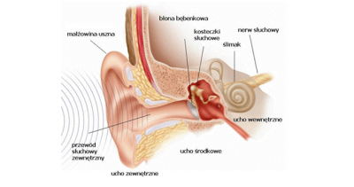 Bezpłatne badania słuchu
