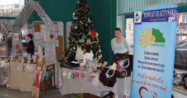 Ozdoby z SOSW Żardeniki zawisły w starostwie