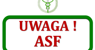 UWAGA! Zagrożenie ASF!