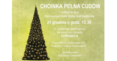 Choinka pełna cudów