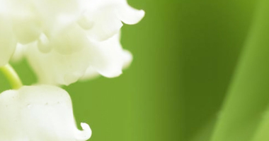 Dzień Samorządu Terytorialnego - życzenia