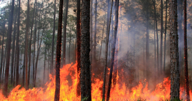Ochrona przeciwpożarowa - informacja