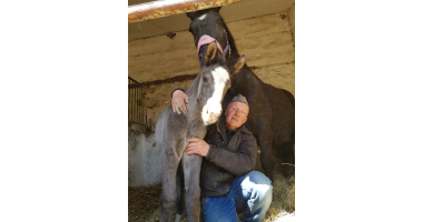 Mamy powiatowego źrebaka!