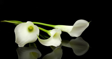 Odszedł Kazimierz Skupień 