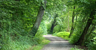 Droga przez lasy wichrowskie już nie powiatowa