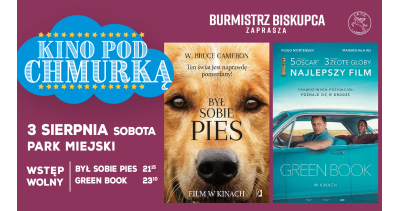 Kino pod chmurką w Biskupcu