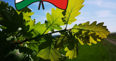 Dzień Przyjaźni Polsko-Węgierskiej