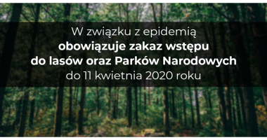 Zakaz wstępu do las&oacute;w - koronawirus