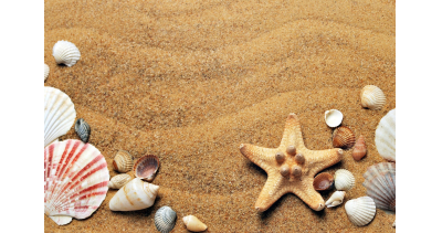 Polski Bon Turystyczny