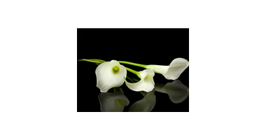 Panie Starosto, wyrazy wsp&oacute;łczucia