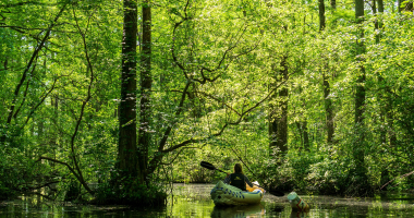 Płyniemy z premierem, by wesprzeć WOŚP