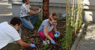Porządki w Zaułku Kopernika pod okiem naukowca