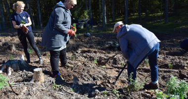 Sadzimy las, dbamy o środowisko!