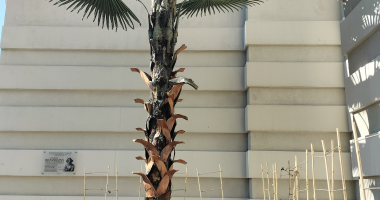 Podpalacze palmy skazani!