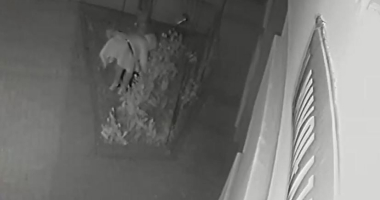 Kamera uchwyciła złodziejkę - FILM