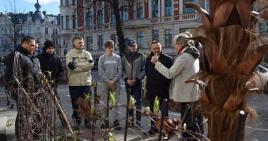 Wiosenne porządki w Zaułku Kopernika