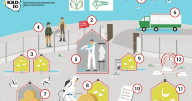 Apel do hodowców drobiu o przestrzeganie zasad bioasekuracji